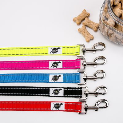 Trailhead Leash with padded and lined handle