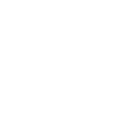 Ducks Unlimited Logo