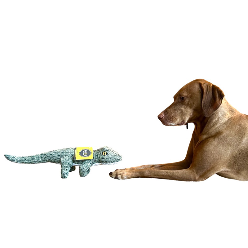Angry Alligator Lined Dog Toy