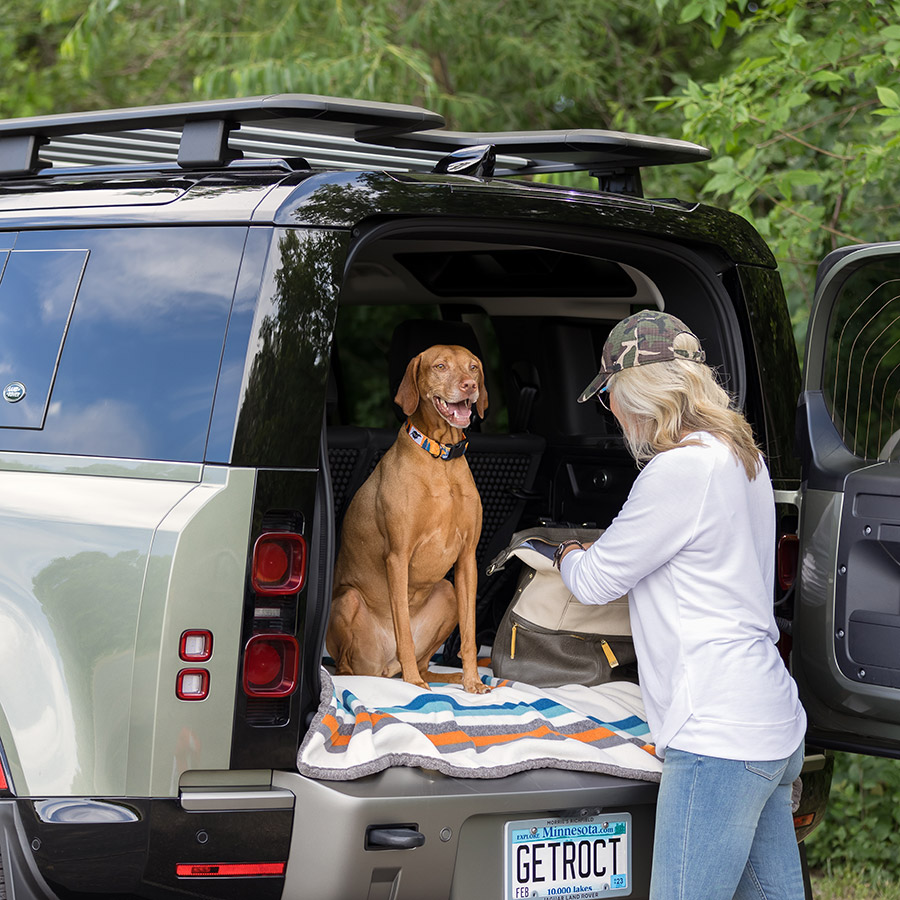 Roct Our Story Dog in Jeep