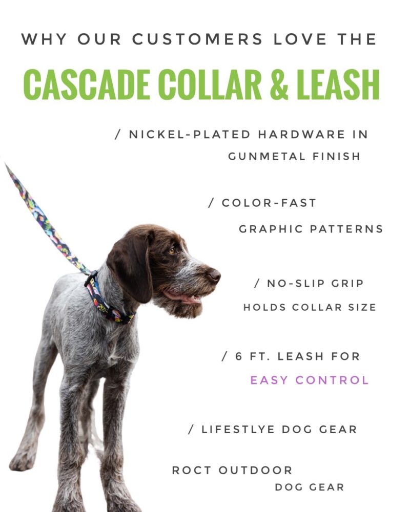 Why customers love the cascade collar and leash