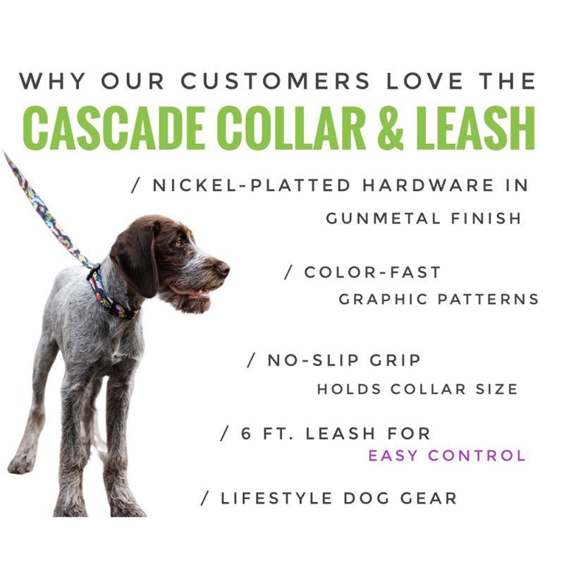 Cascade Collars & Leashes
