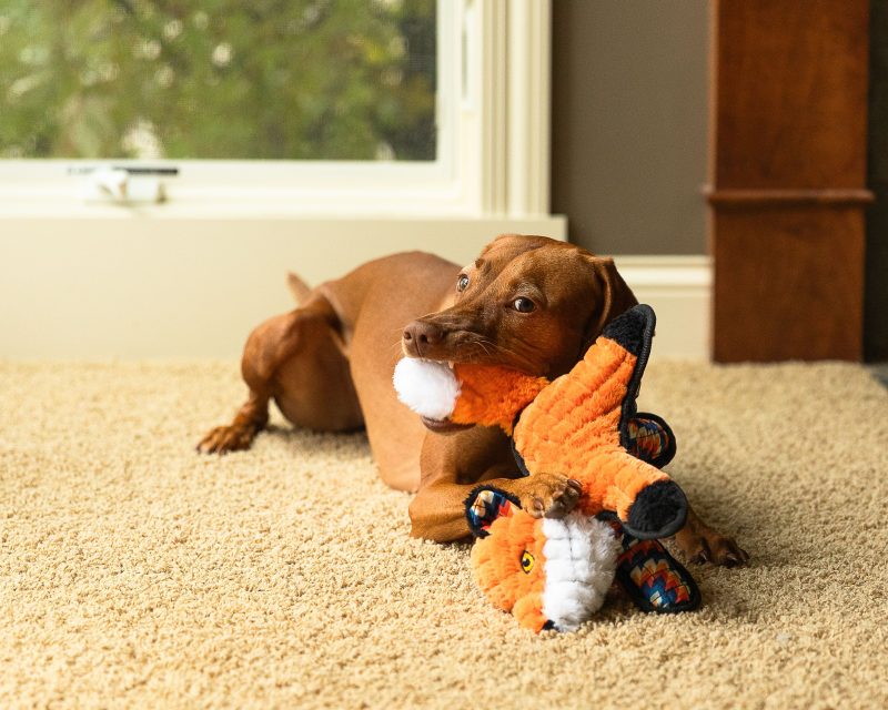 Sly Fox Dog Toy - Image 2