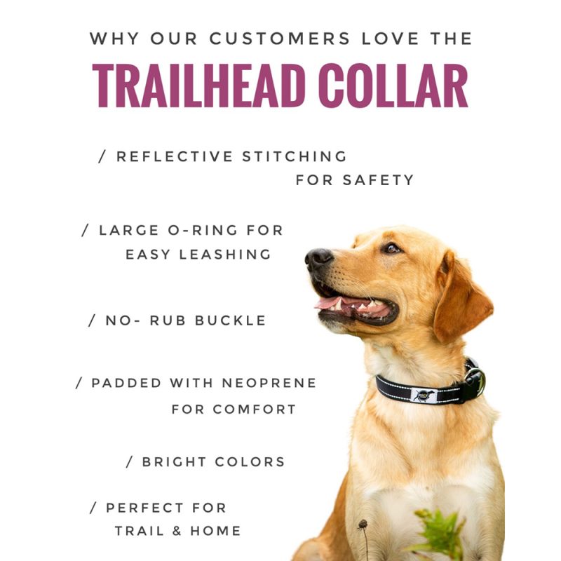 Trailhead Padded Collars