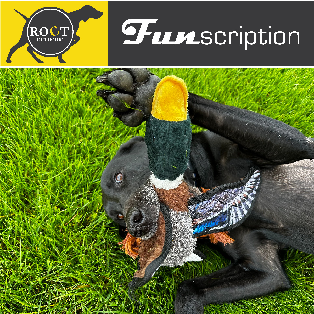 FUNscription logo with a dog holding a duck shaped toy