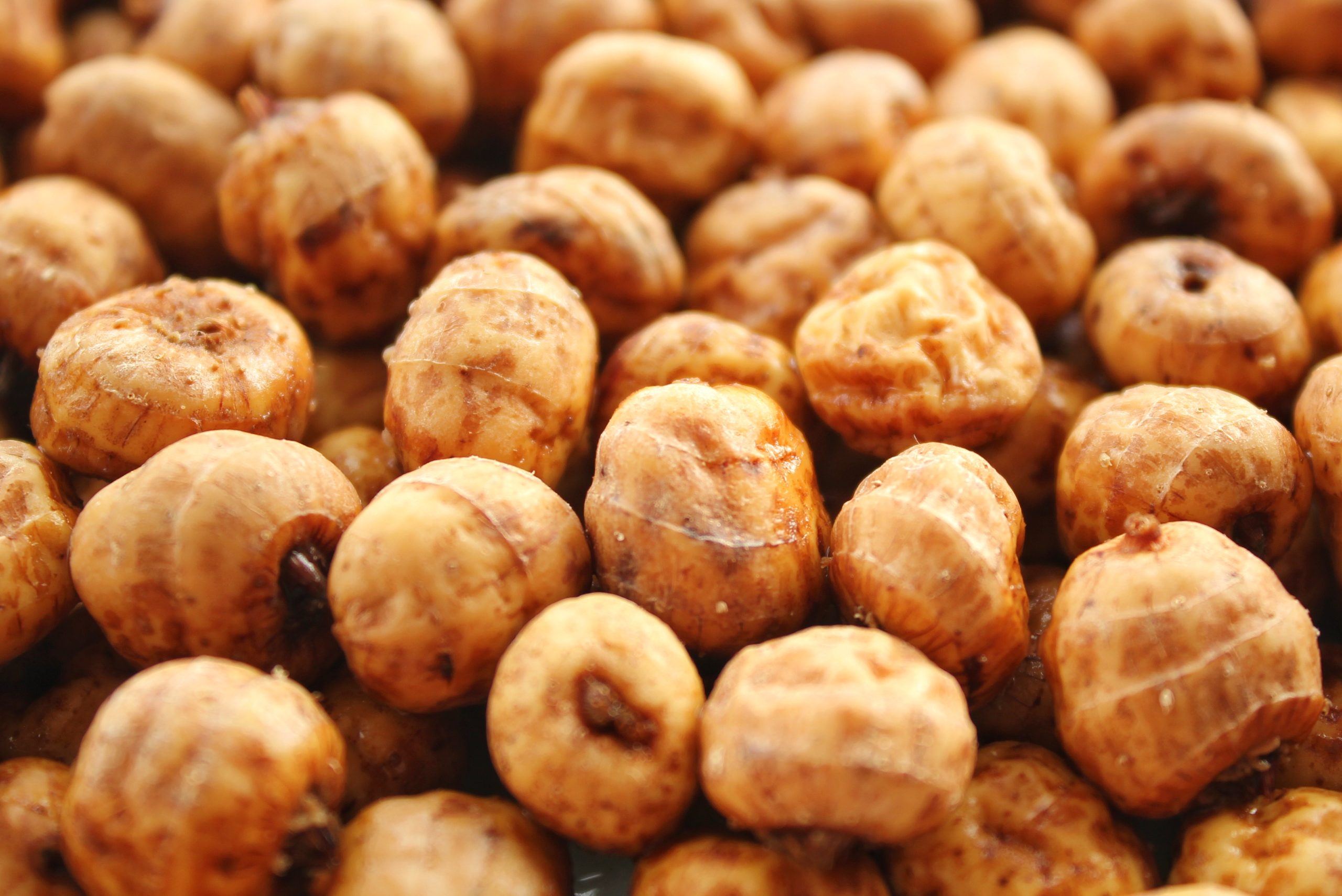 Brown round fruit in close up