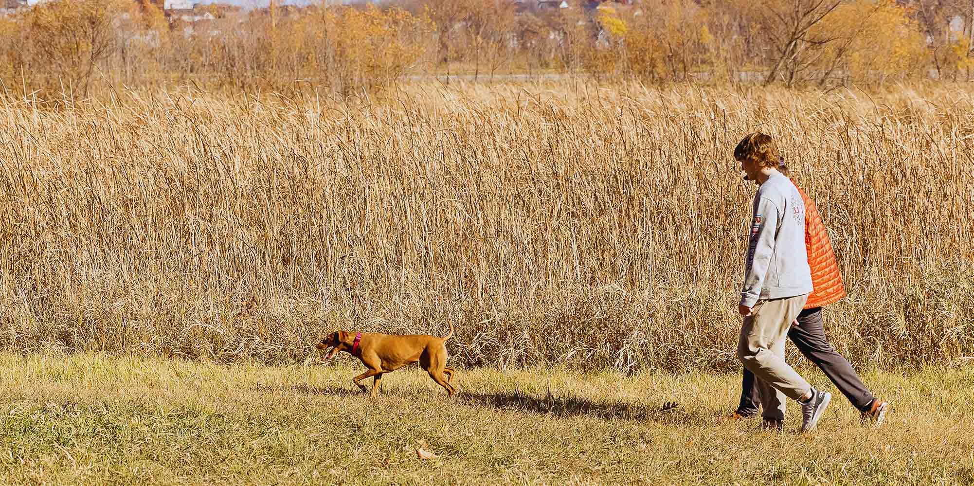 two men and dog walking alongside a field