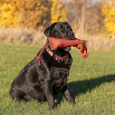 Hornady shotgun shell retriever