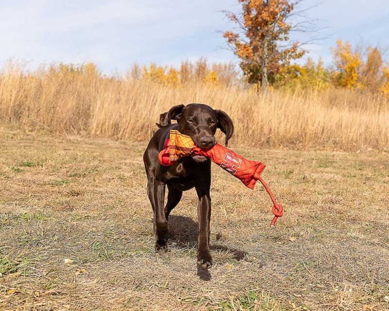 Hornady shotgun shell retriever