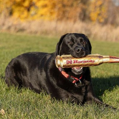 Hornady © Ammo Round Dog Toy