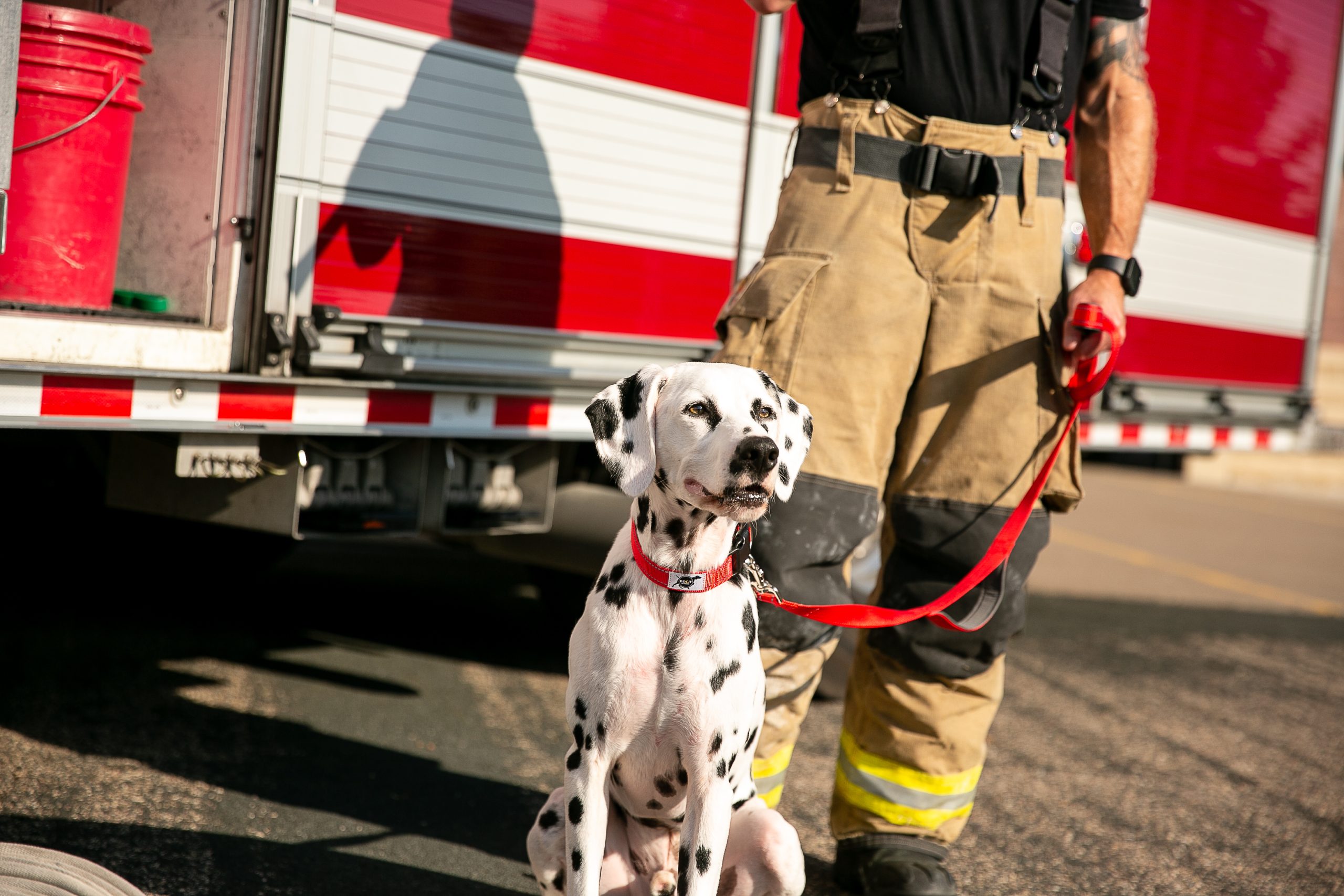 Roct Hammocks in bag